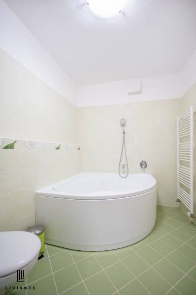 Rent One bedroom apartment, One bedroom apartment, Opletalova, Bratisl
