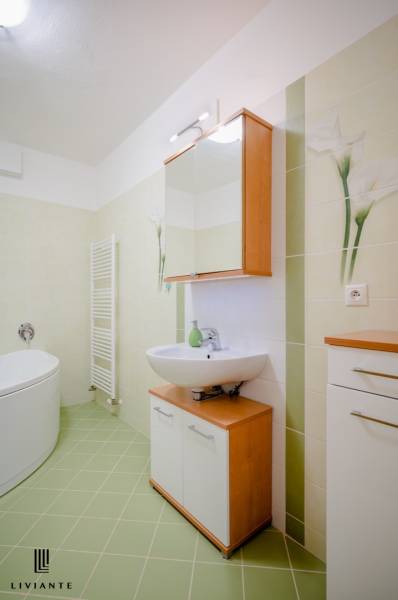Rent One bedroom apartment, One bedroom apartment, Opletalova, Bratisl