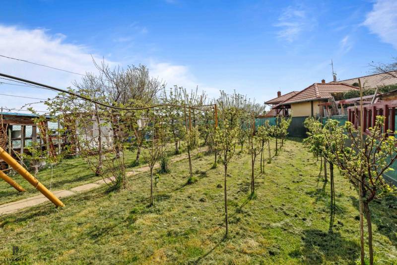 Sale Family house, Family house, Močola 297, Šaľa, Slovakia