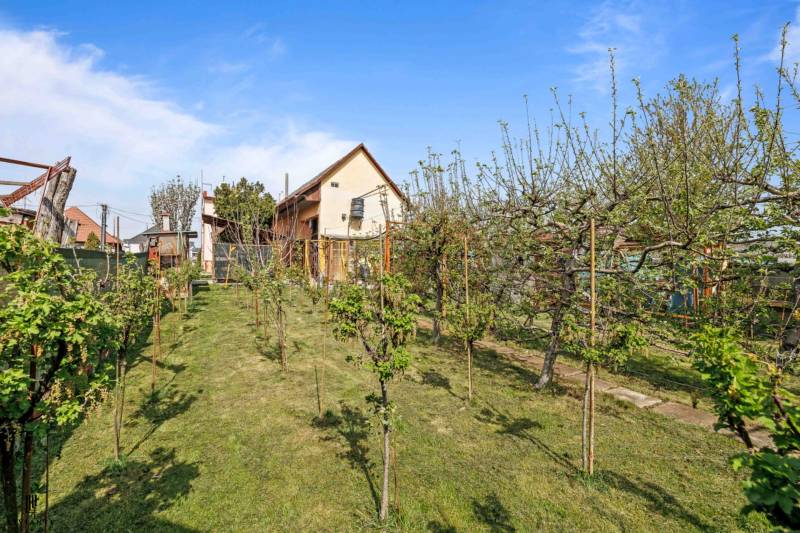 Sale Family house, Family house, Močola 297, Šaľa, Slovakia
