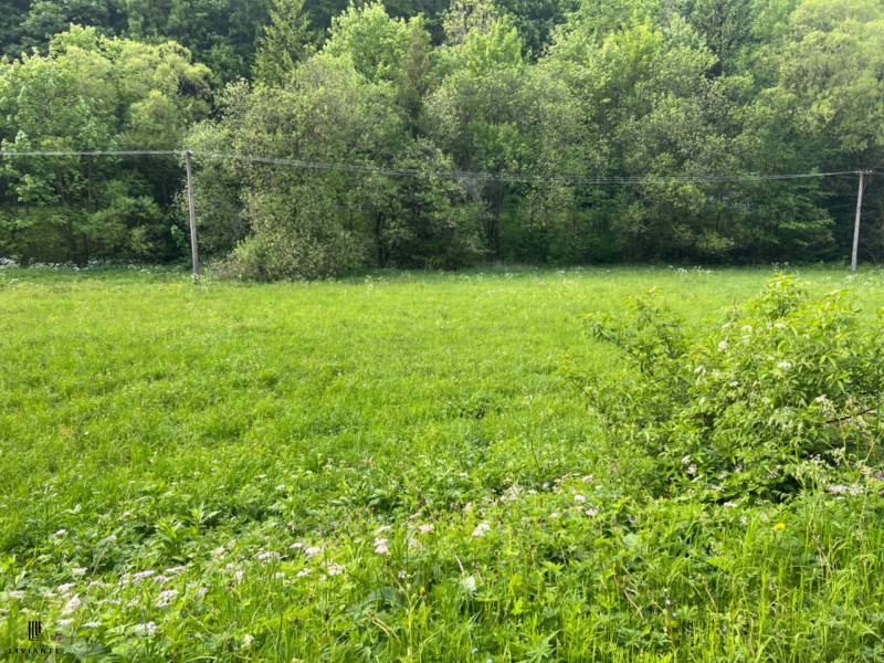 Sale Agrarian and forest land, Agrarian and forest land, Motyčky, Bans