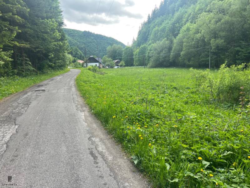 Sale Agrarian and forest land, Agrarian and forest land, Motyčky, Bans