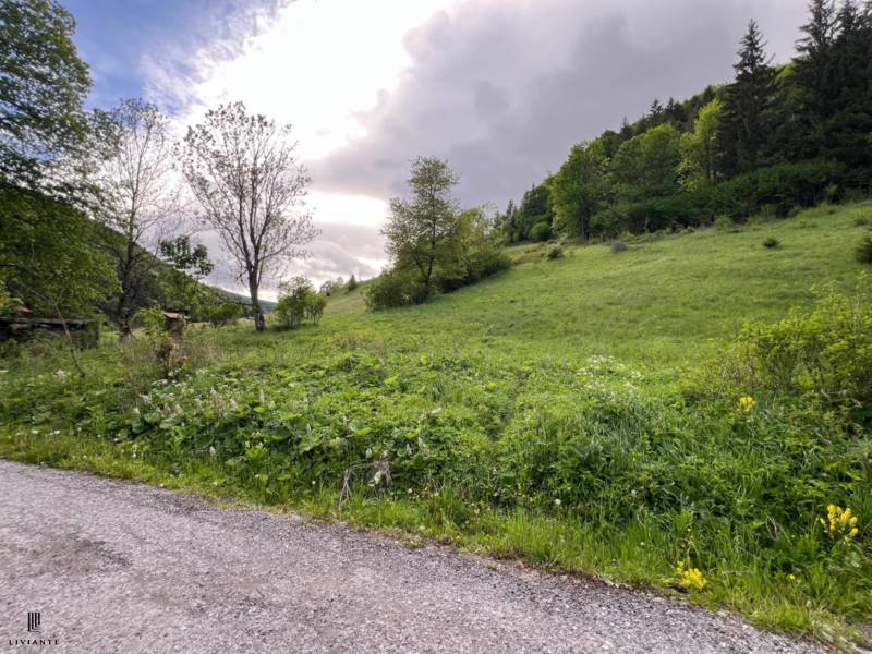 Sale Agrarian and forest land, Agrarian and forest land, Motyčky, Bans
