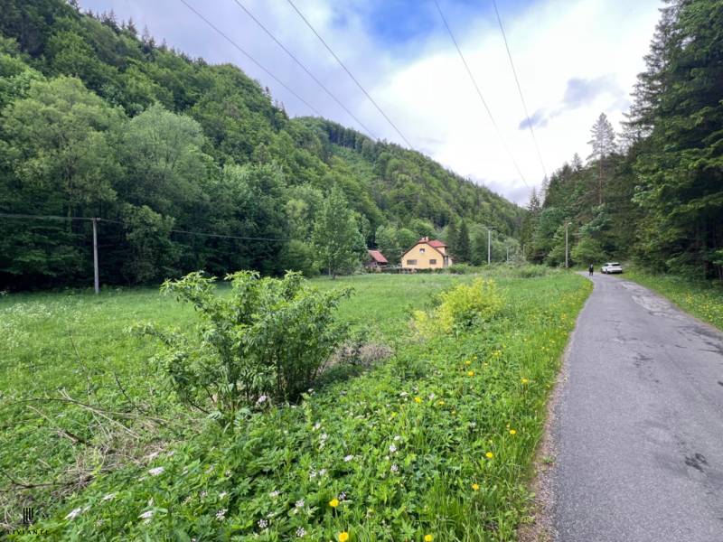 Sale Agrarian and forest land, Agrarian and forest land, Motyčky, Bans
