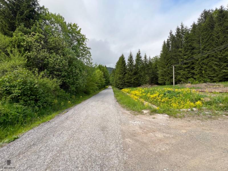 Sale Agrarian and forest land, Agrarian and forest land, Motyčky, Bans
