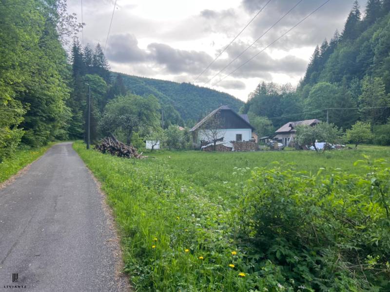 Sale Agrarian and forest land, Agrarian and forest land, Motyčky, Bans