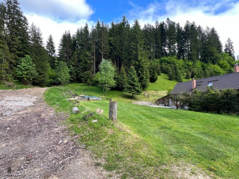 Sale Agrarian and forest land, Agrarian and forest land, Motyčky, Bans