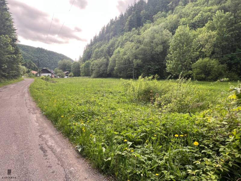 Sale Agrarian and forest land, Agrarian and forest land, Motyčky, Bans