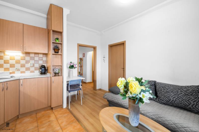 Sale One bedroom apartment, One bedroom apartment, Haburská, Bratislav