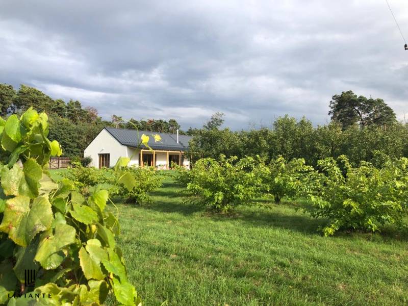 Sale Building, Building, Láb, Malacky, Slovakia