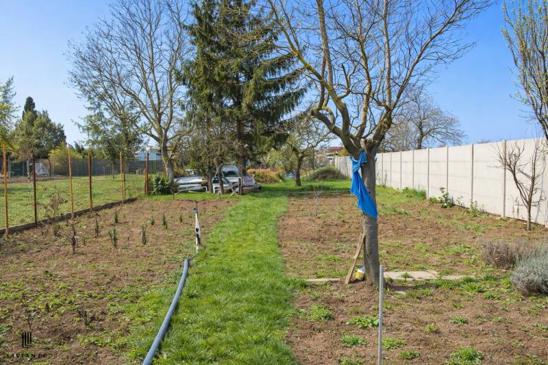 Sale Family house, Family house, Školská, Senec, Slovakia