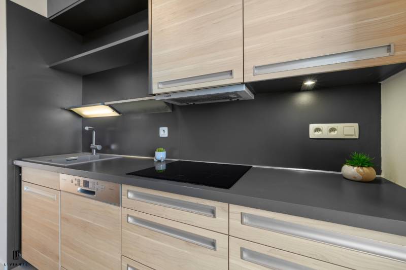 Rent One bedroom apartment, One bedroom apartment, Havlíčkova, Bratisl