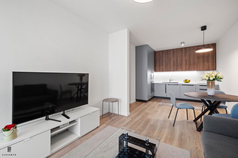 Rent One bedroom apartment, One bedroom apartment, Dominika Tatarku, B