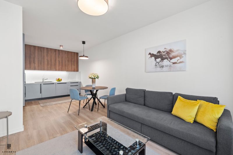 Rent One bedroom apartment, One bedroom apartment, Dominika Tatarku, B