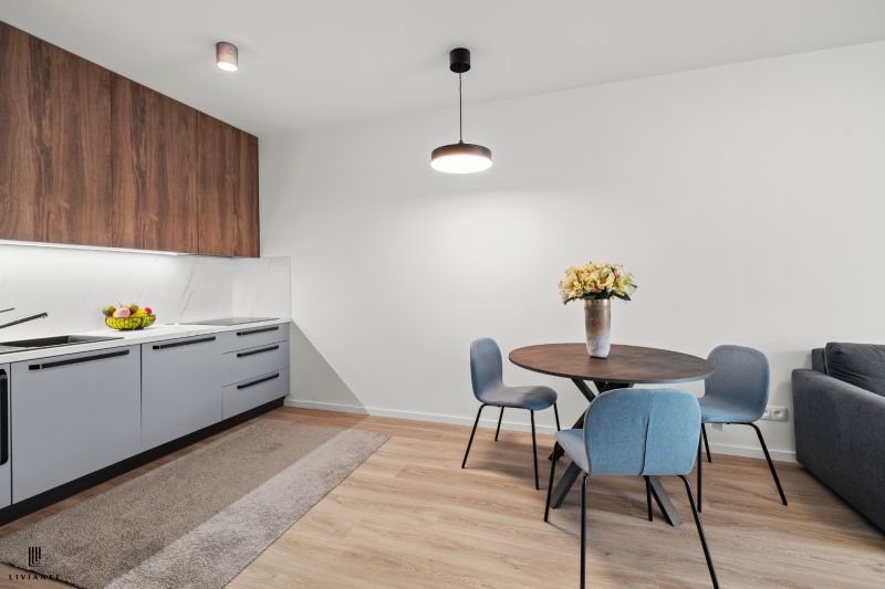 Rent One bedroom apartment, One bedroom apartment, Dominika Tatarku, B