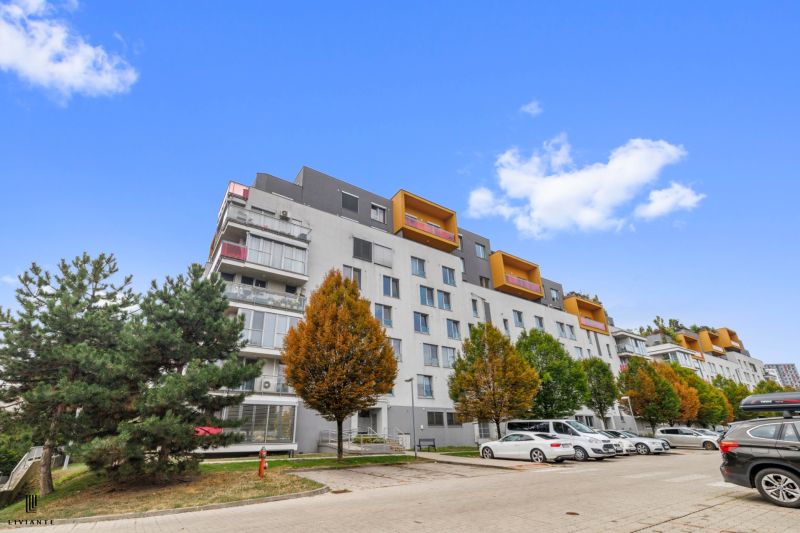 Rent One bedroom apartment, One bedroom apartment, Staré grunty, Brati