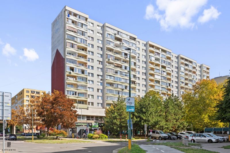 Rent One bedroom apartment, One bedroom apartment, Mánesovo nám., Brat