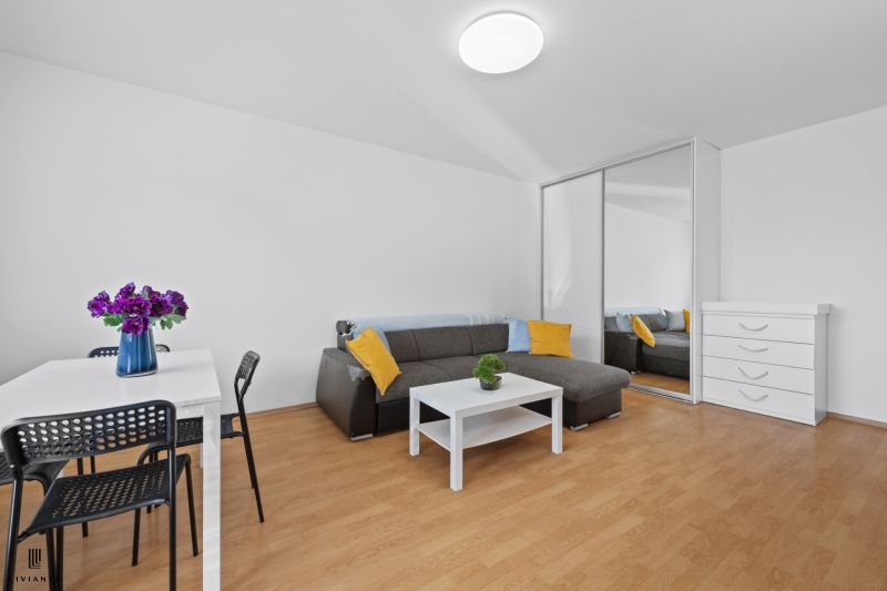 Rent One bedroom apartment, One bedroom apartment, Mánesovo nám., Brat